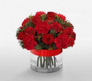 Classic Red Roses For Christmas