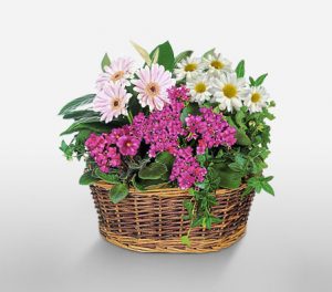 Garden Basket