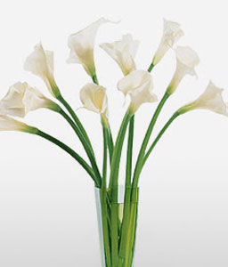 Calla Magic