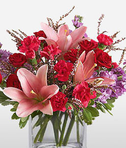 Delightful Roses And Carnations <Br><span>Complimentary Vase</span>