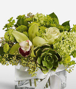 Green Fiesta <Br><span>Complimentary Vase </span>