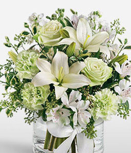 Silver Bells <Br><span>Complimentary Vase </span>