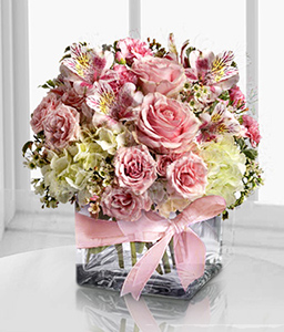 Rosa Elegancia <Br><span>Complimentary Vase</span>