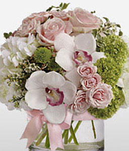 Stylish Arrangement <Br><span>Complimentary Vase</span>