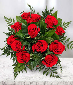 Sparkling Rubies <Br><span>Dozen Red Roses</span>