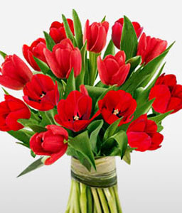 Red Tulips