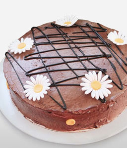 Chocolate Delight Cake - 35oz/1kg