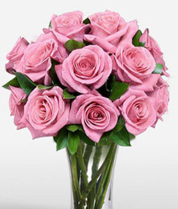 Goddess 12 Pink Roses