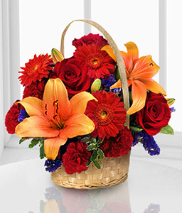 Flaming Hues - Mixed Arrangement 