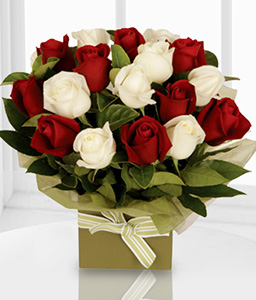 Romantico - 18 Red & White Roses