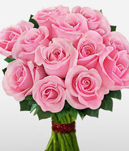 Dozen Pink Roses