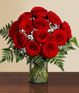 1 Dozen Red Roses In Vase