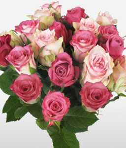 Bunch Of Pink Roses in Vase