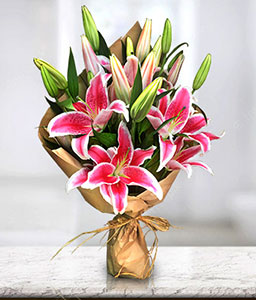 Stargazer Lilies Bouquet