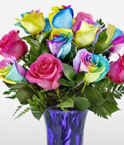 Luxury Rainbow Roses - 12 Stems