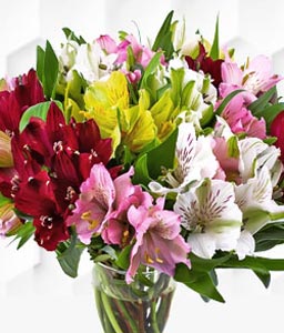 Alstroemeria Bouquet