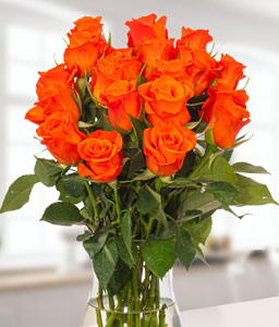 Bouquet of Orange Roses