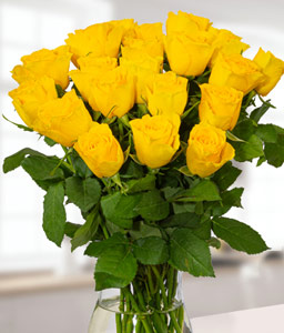 20 Yellow Roses