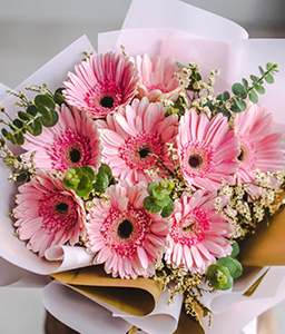 Pink Blush Gerberas