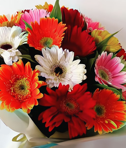 Bouquet of Colorful Gerberas