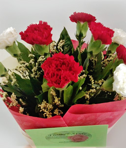 Red and White Carnations