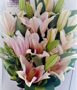 Elegant Bouquet of Pink Lilies