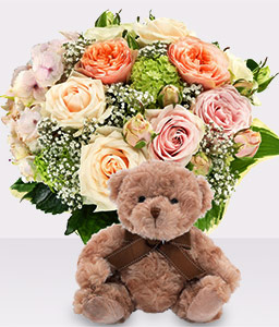 Happy Teddy Giftset