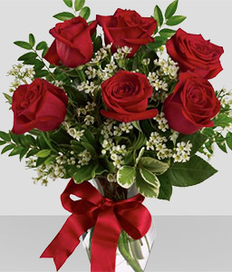 Half Dozen Long Stemmed Red Roses