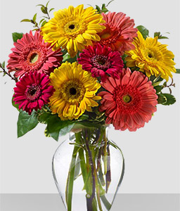 Cheerful Gerberas