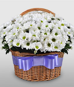 Field of Camomiles - Chrysanthemum Bouquet