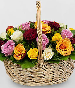 Basket of Beauty