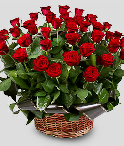 Basket of Red Roses