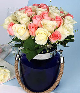 White N Pink Roses