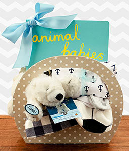 Boy Dreams Gift Basket