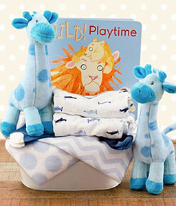 Twins Boy Gift Basket