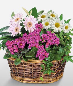 Garden Basket