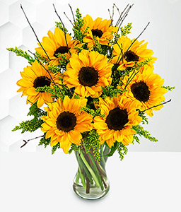 Sensational Sunflowers