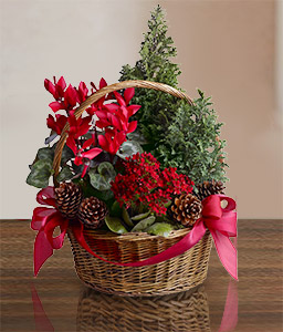 Merry Fir and Florals Basket