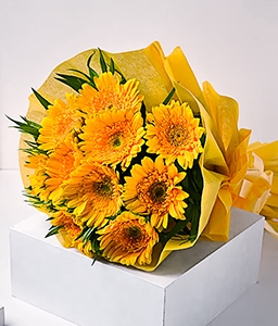 Sunshine Gerberas For Celebration