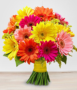 Amazing Gerberas