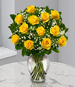 One Dozen Yellow Roses