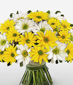 Cheery Chrysanthemums