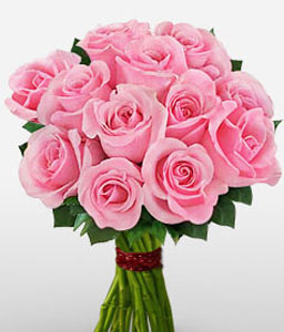 One Dozen Pink Roses