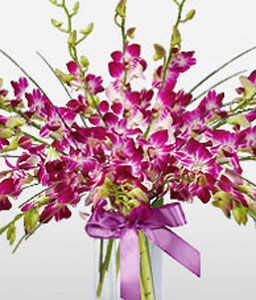 Birthday Flowers <Br><span>Orchids In Vase</span>