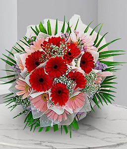 Thinking Of You <Br><span>Red & Pink Gerberas</span>