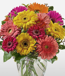 Assorted Gerberas