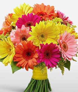 Tagaytay<Br><span>Bouquet of Colorful Gerberas</span>