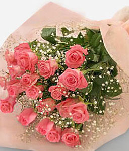 12 Pink Roses