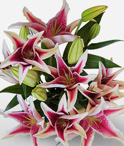 Starry Night - Lilies Bouquet