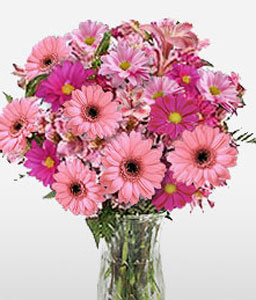 Mona Lisa - Pink Gerberas